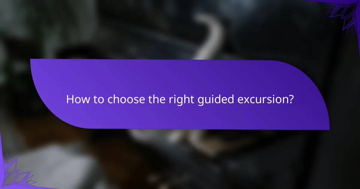 How to choose the right guided excursion?