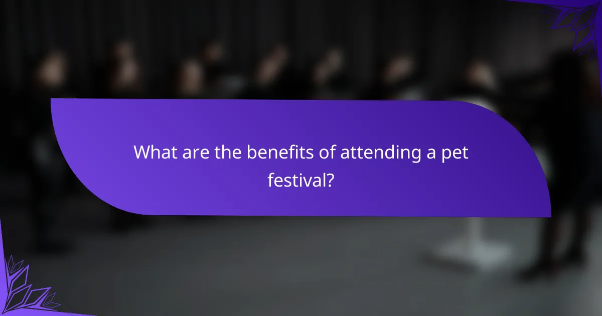 What are the benefits of attending a pet festival?