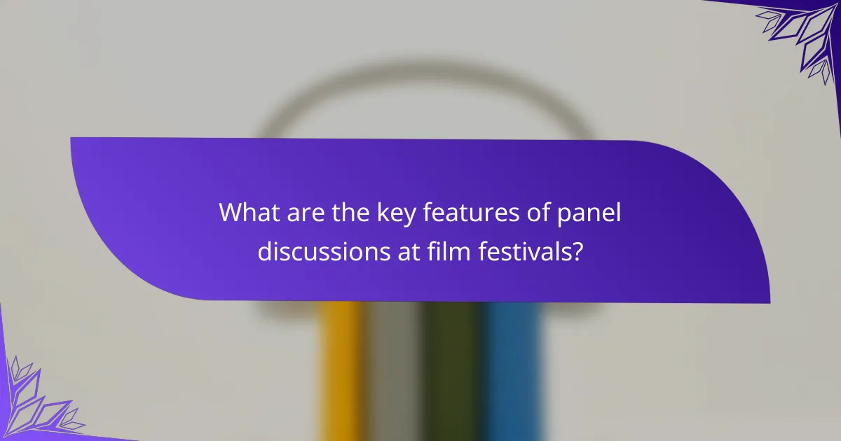 What are the key features of panel discussions at film festivals?