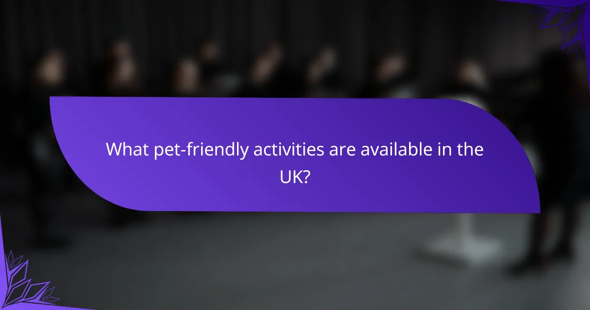 What pet-friendly activities are available in the UK?